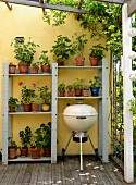 Shelves of geraniums and kettle grill on veranda with yellow-painted wall