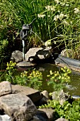 Metal frog water spout in garden pond