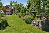 Broad lawn path in summer garden leading to wooden house painted Falu red