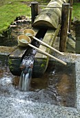 Spring water flowing into stone trough in Buddhist temple complex; Japan