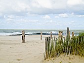 Sandy beach with fenced-off area