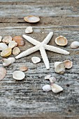 Starfish and seashells on wooden surface