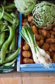 Fresh vegetables (beans, artichokes, spring onions and potatoes) in wooden crates