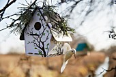 A bird house with a bird figurine and pine tree decoration