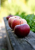 Row of red apples on weathered wooden board