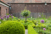 Angelegter Garten mit Formhecken und blühendem Zierlauch vor Bauernhaus aus Ziegel