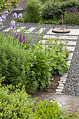 Beet mit blühendem Iris in gestaltetem Garten, helle Platten in Kiesboden