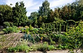 Rows of plants in vegetable patch with rose arches to one side surrounded by woodland