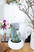Cactus in white ceramic bowl next to vase of magnolia branches