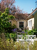 weiße Gartenbank mit blühender Akelei im sommerlichen Garten und Wohnhaus im Hintergrund