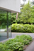 Corner of modern glass façade and planted beds on terrace in front of mature trees