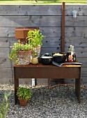 Potted herbs and bowls on rustic metal side table against wooden fence on gravel floor outdiirs