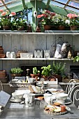 Breakfast table in front of shelves of potted herbs in sunny greenhouse