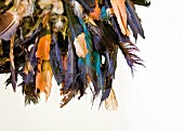 Dyed feathers