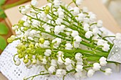 Bouquet of lily-of-the-valley