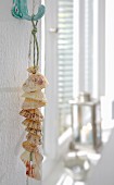 A chain of shells as maritime wall decoration