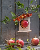 Autumn arrangement of apples