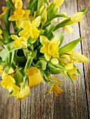 Yellow narcissus in ceramic pot on wooden surface