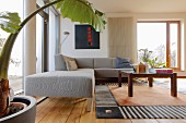 Grey corner sofa, coffee table and large house plant