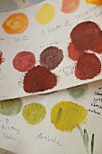 Paint samples for hand-painted wallpapers