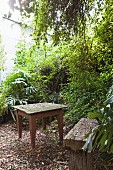 Mossy wooden table and weathered bench in garden on floor covered in leaf litter