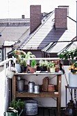 Plants and gardening utensils on potting bench on roof terrace