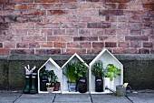 Herb plants in small, decorative wooden houses against brick wall