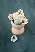Sugar-coated chocolate eggs and pear blossom in wooden egg cup