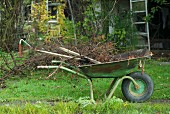 Wheelbarrow full of brushwood in garden