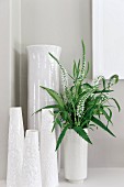 Collection of white vases; white flowers and leaves in one