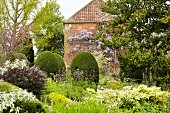 Flowering herbaceous borders, topiary shrubs and trees in front of wisteria-covered house facade