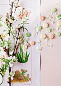 Branch of jasmine and colourful sweets stuck on poster with botanical images decorating wall