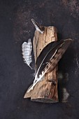 Natural arrangement of feathers on weathered piece of wood