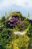 A summer garden with purple clematis and white foxgloves