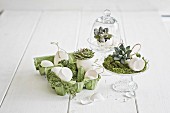 Easter arrangement of white, blown eggs, succulents and moss in glass dishes and green egg box