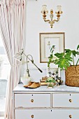 Vintage lamp, collectors' items and house plant on top of old chest of drawers