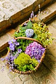 Wicker basket full of flowers and wild herbs