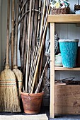 Bamboo canes in terracotta pot and partially visible shelves of gardening utensils