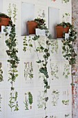 Trailing plants in terracotta pots on white metal brackets on wallpaper with botanical pattern