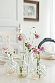 Pink aquilegia flowers in faceted glass vases
