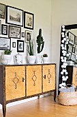 Gallery of black and white photos above cacti on sideboard