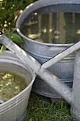 Zinc tub of water and watering can