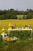 Set picnic table in field of flowering rapeseed