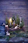 A mini Christmas forest in an old wooden crate