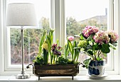 Messingschale mit Frühlingsblumen und Blumentopf mit Hortensie auf Fensterbank