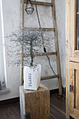 Small tree in hand-printed paper bag on wooden plinth