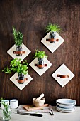 Wall brackets for screw jars with kitchen herbs