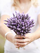 Woman holding bouquet of lavender