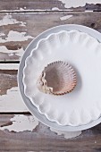 A homemade, papier mâché shell