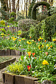 Flowering tulips and crown imperials in spring garden